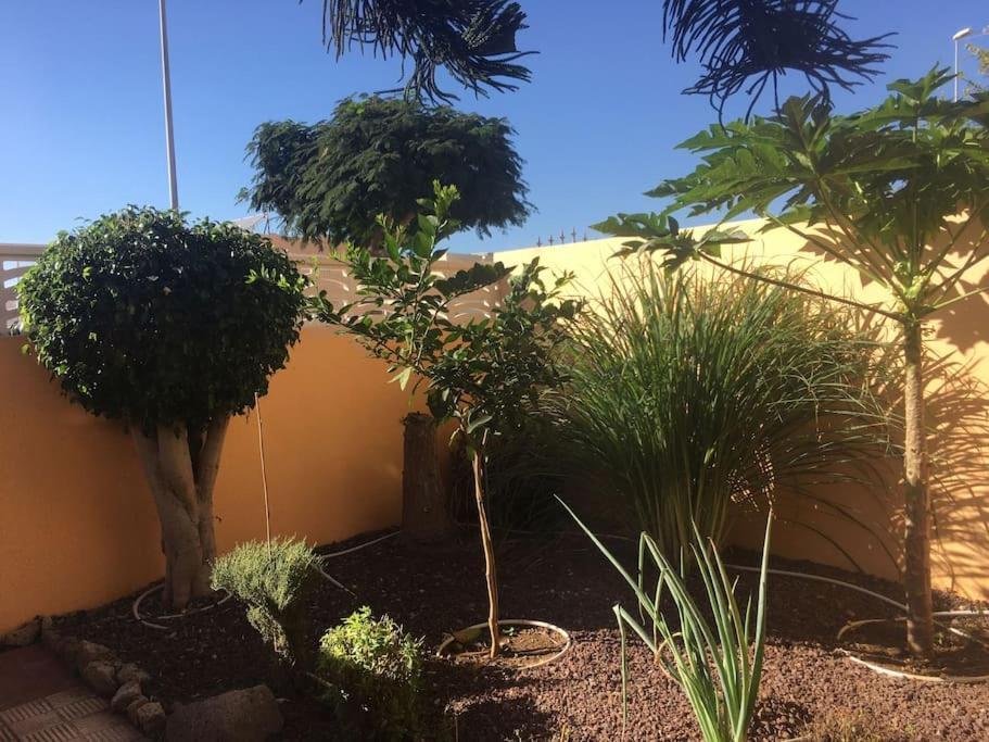 אדחה Independiente Estudio En Acogedora Casita De Mai מראה חיצוני תמונה