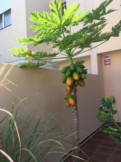 אדחה Independiente Estudio En Acogedora Casita De Mai מראה חיצוני תמונה