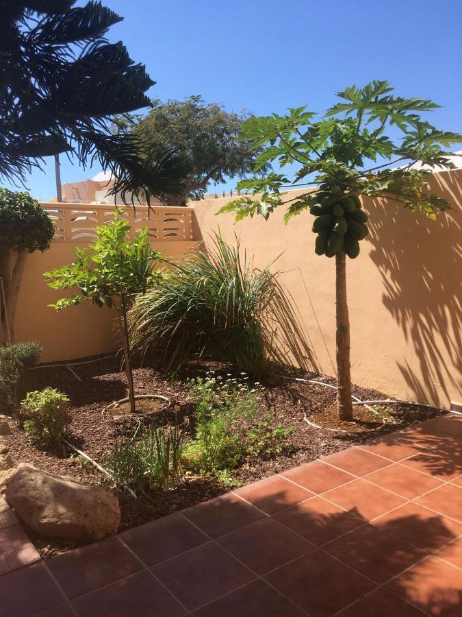 אדחה Independiente Estudio En Acogedora Casita De Mai מראה חיצוני תמונה